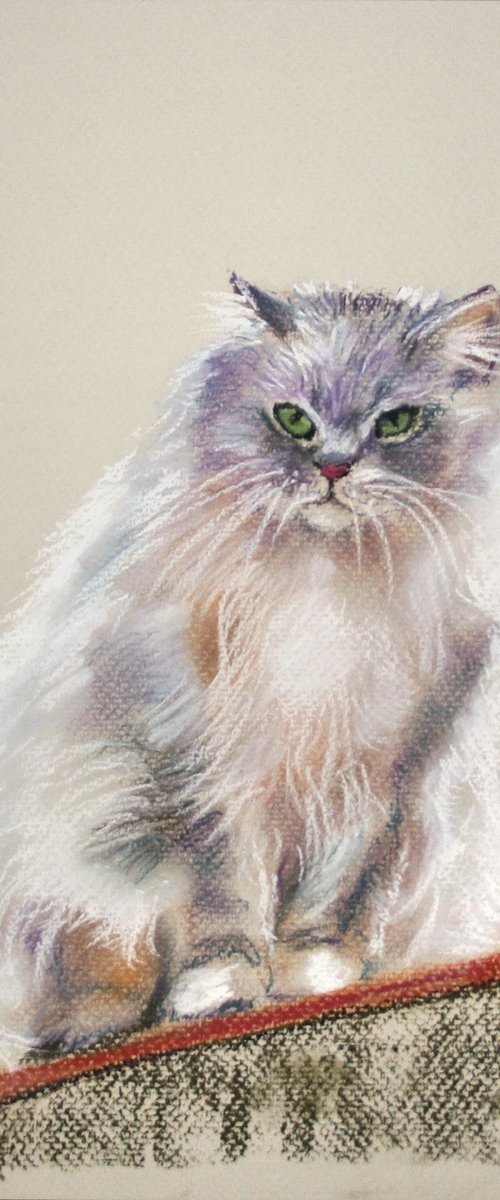 Cat / ORIGINAL SOFT PASTEL PAINTING by Salana Art