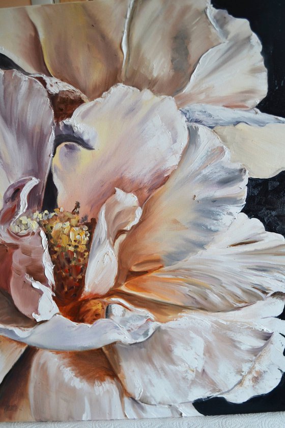Peonies' Voice 2