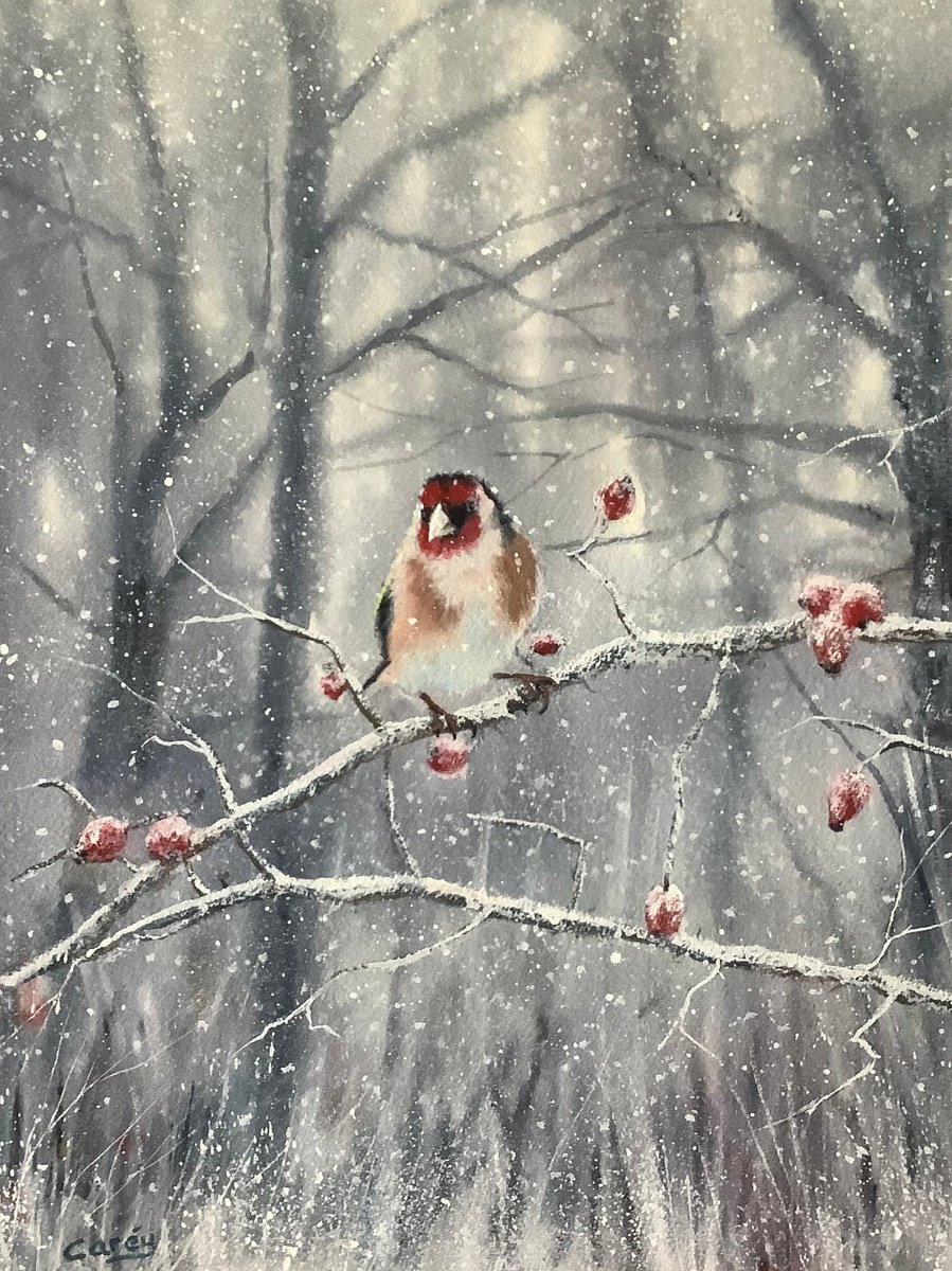 Impressionistic Animal Watercolour By Darren Carey, 11 X 15, Goldfinch In Winter, Original Artwork