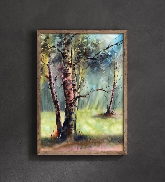 Birch Trees Summer Landscape
