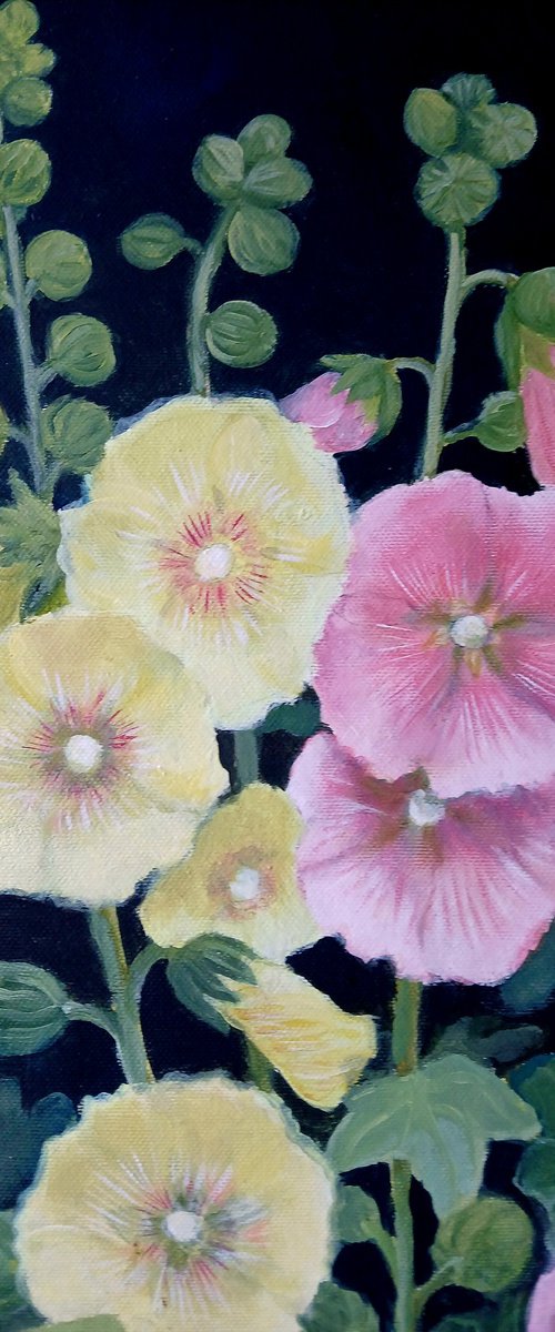 Hollyhocks by Sophie Colmer-Stocker