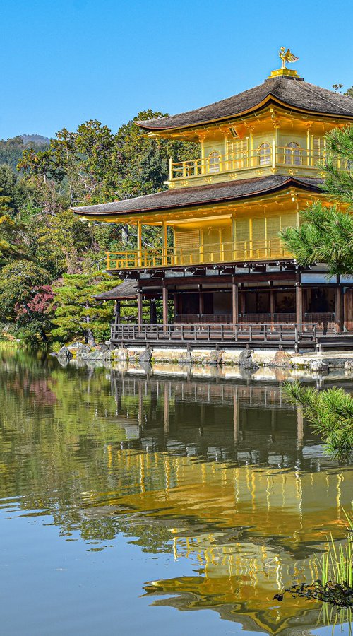 GOLD TEMPLE by Fabio Accorrà