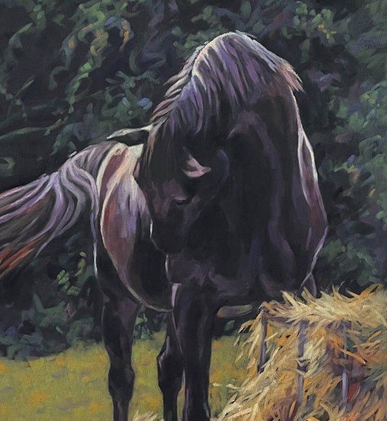 Scratch That Itch - Horse Art