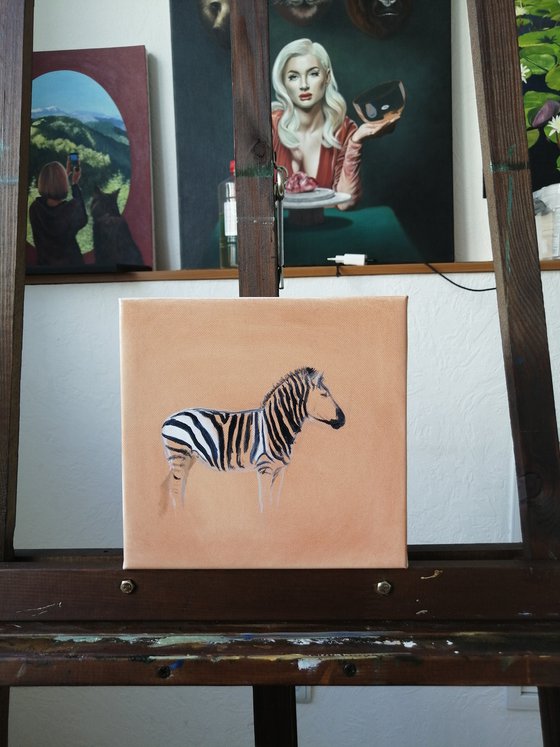 Zebra