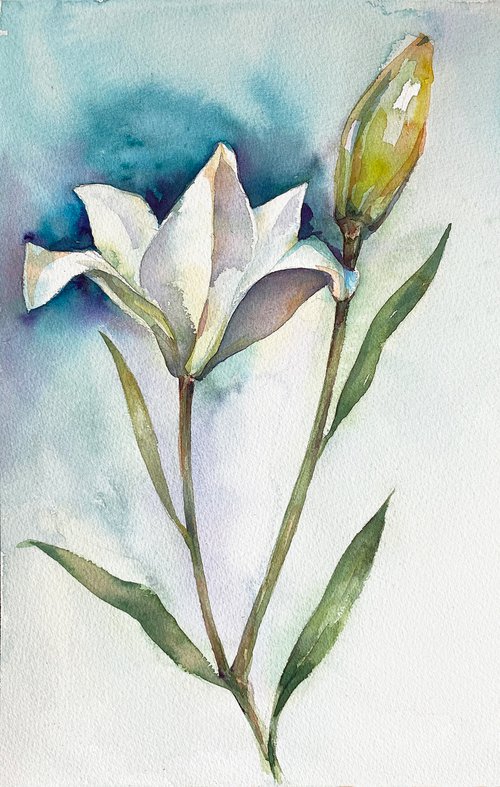 Lilies I by Paola Minekov