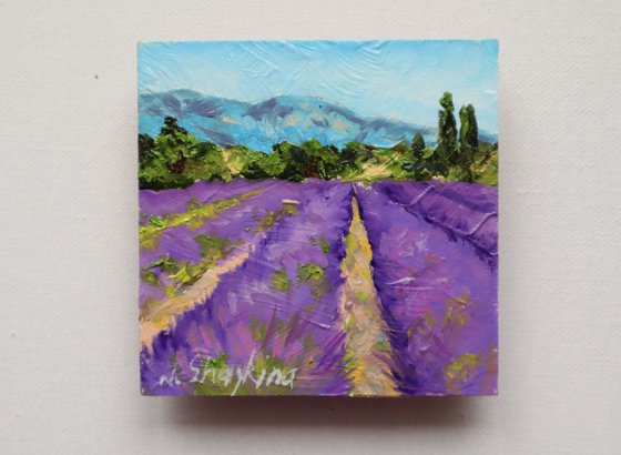 Lavender Fields Scene