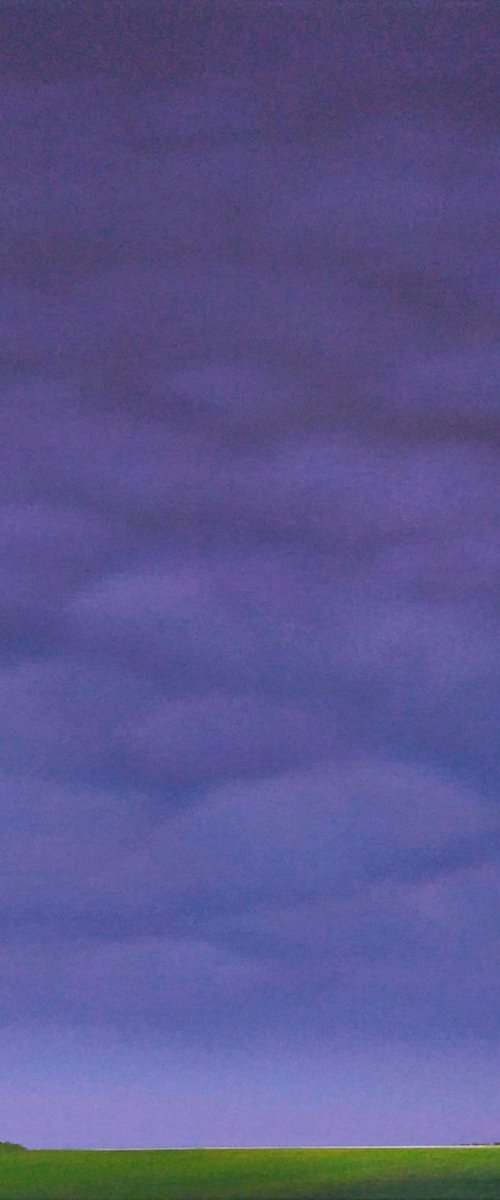 Red roofs, purple sky (October) by Nelly van Nieuwenhuijzen