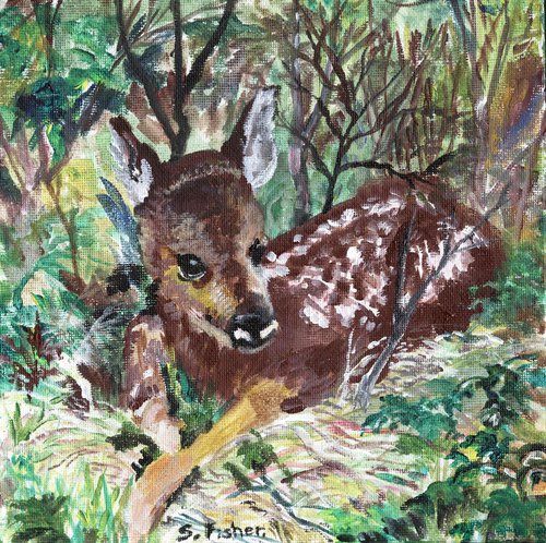 roe deer fawn by Sandra Fisher