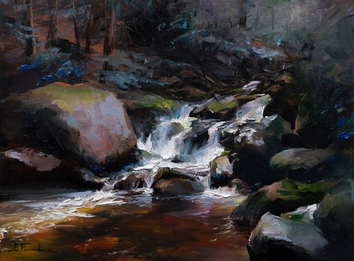 Whispers of the Woodland Stream by Bozhena Fuchs