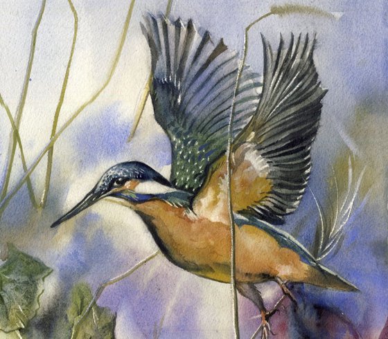 Flight of the kingfisher