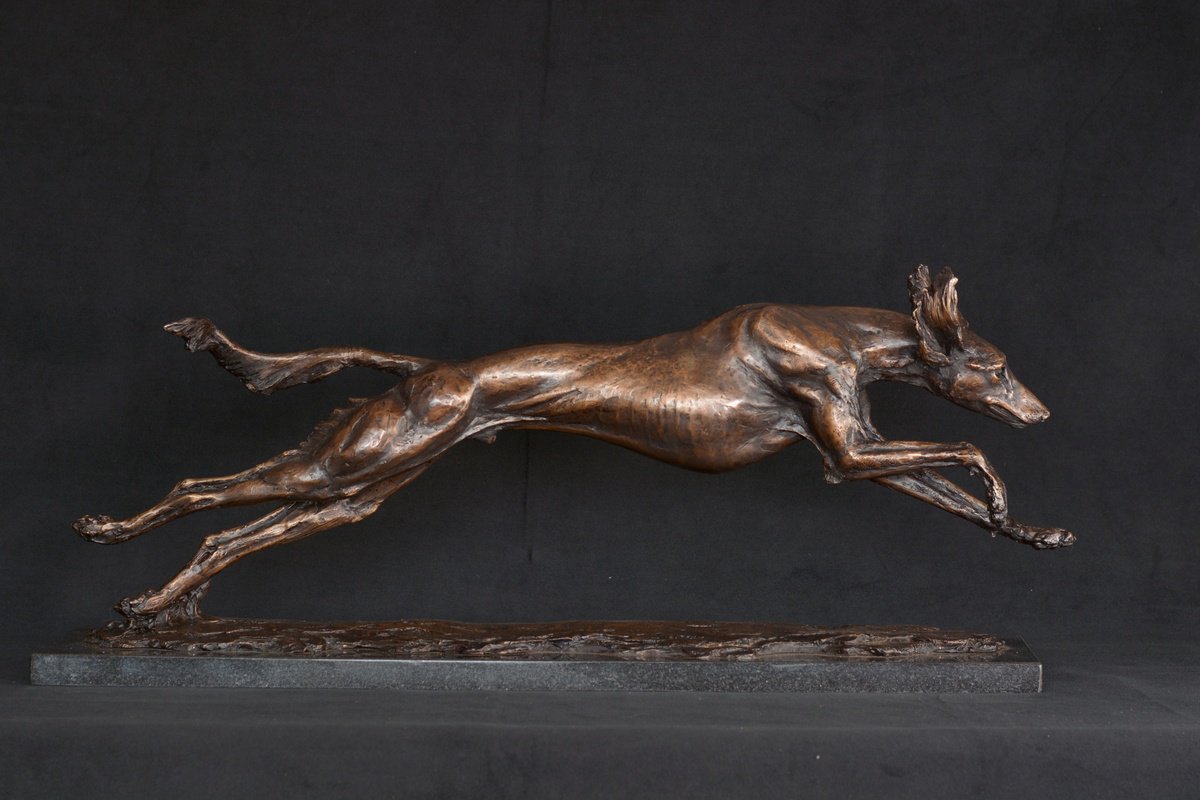 Animal Bronze Sculpture By Tanya Russell, 26 X 11", Saluki In Foundry Bronze, Original Artwork