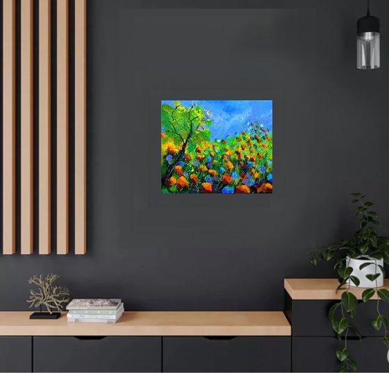 Poppies near my Home