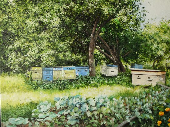 Backyard Bee Hives, Summer Orchard Scenery.