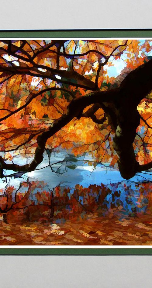 Autumn Reflections by Robin Clarke