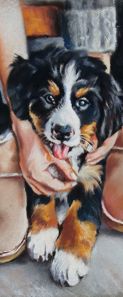 In caring hands by Magdalena Palega
