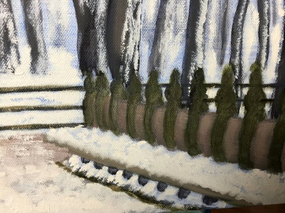 CENTRAL PARK WINTER