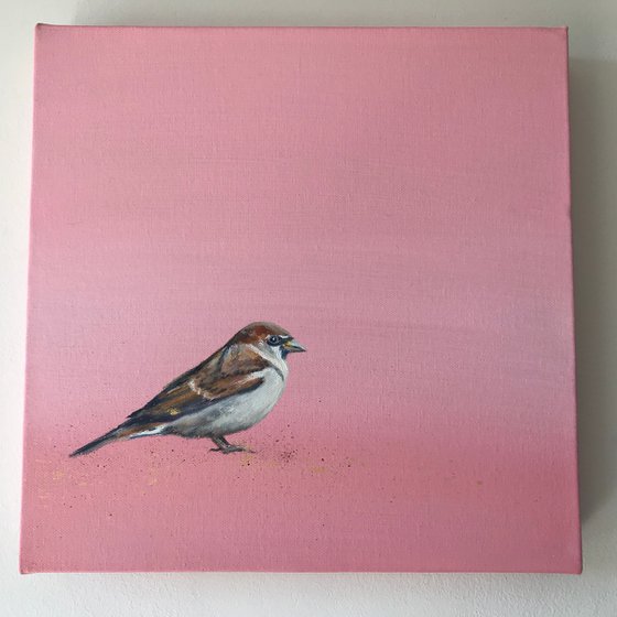 My Little Sparrow on Rose Gold