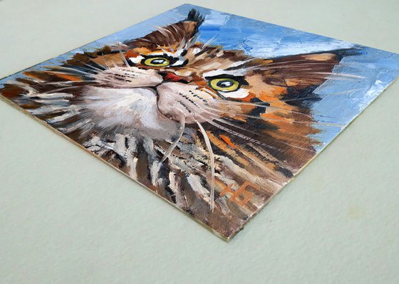 Tabby Cat Maine Coon