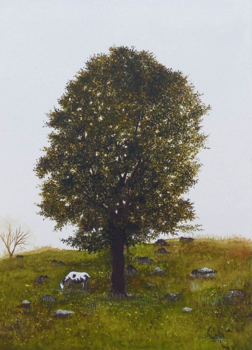 Mahogany tree by Shweta Mahajan