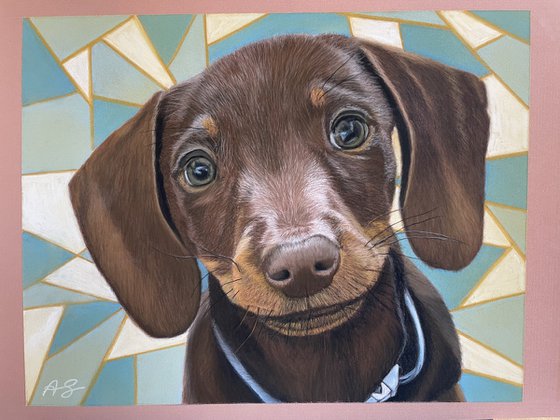 Dachshund