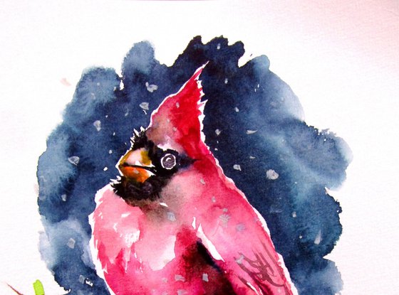 Cardinal bird II