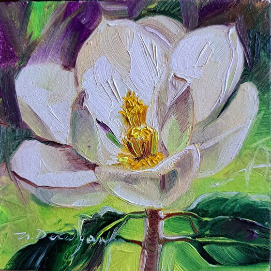 Magnolia painting