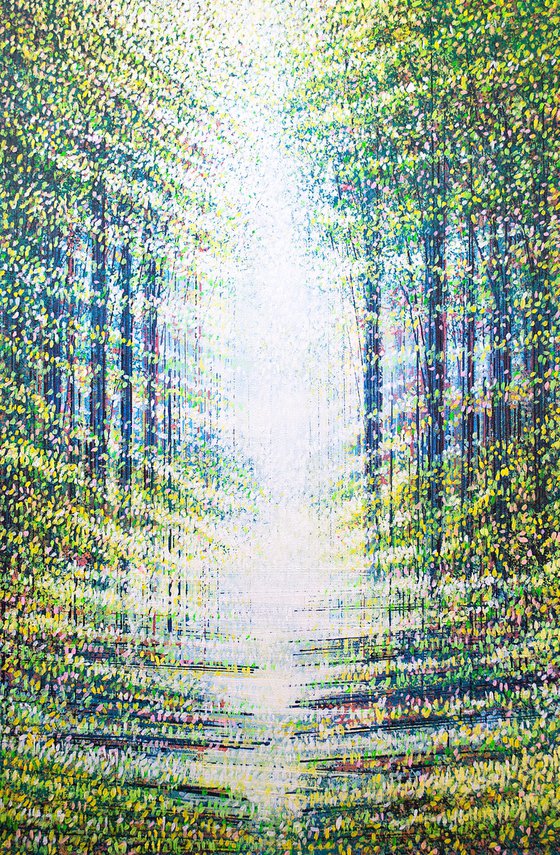 Sunlit Summer Forest Path