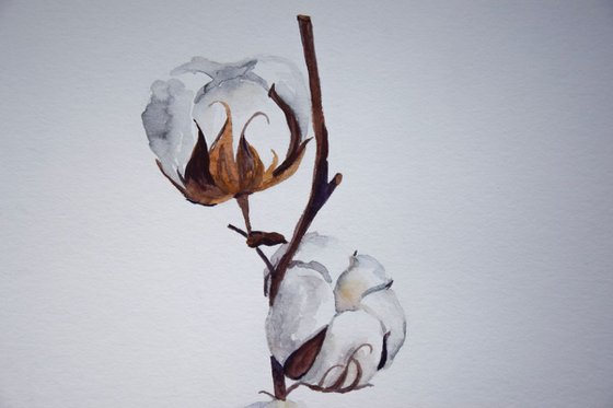 Set of 2 COTTON bolls watercolor paintings, Flowers abstract, Shabby Chic wall art