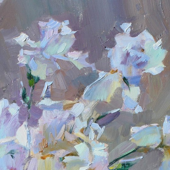 Beautiful iris butterflies.