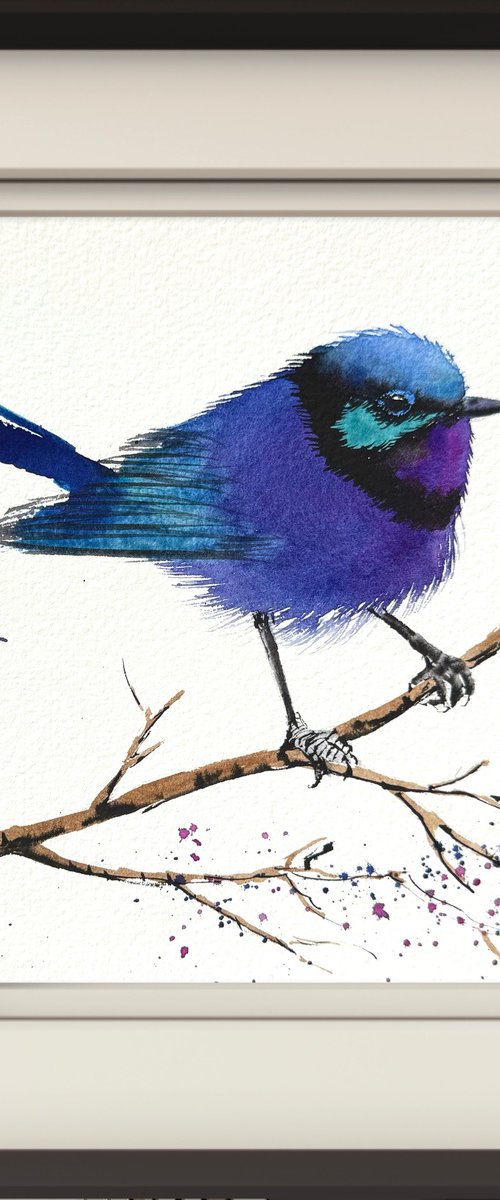 Splendid ultramarine Fairywren by Yuliia Sharapova