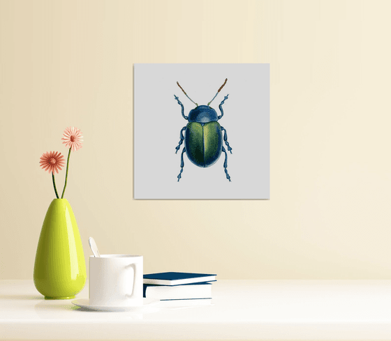 Watercolour beetle