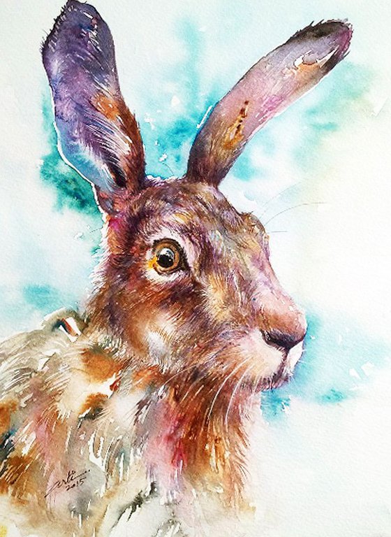 Plum Hare