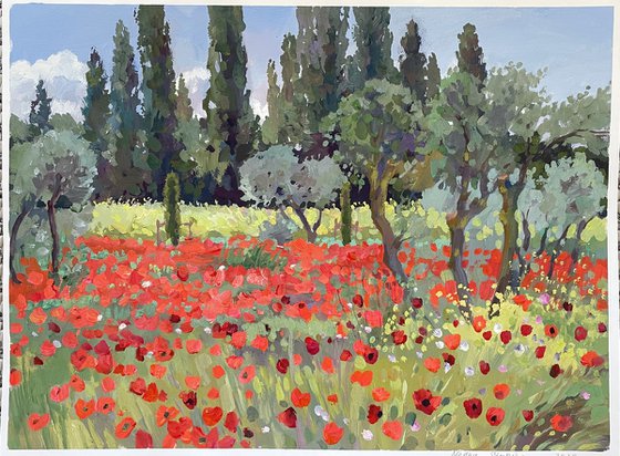 Poppy carpet