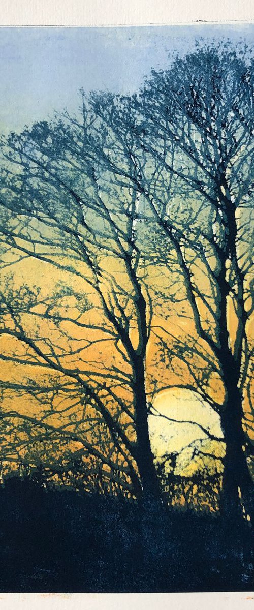 The Very Fringes of the Day by Diane McLellan