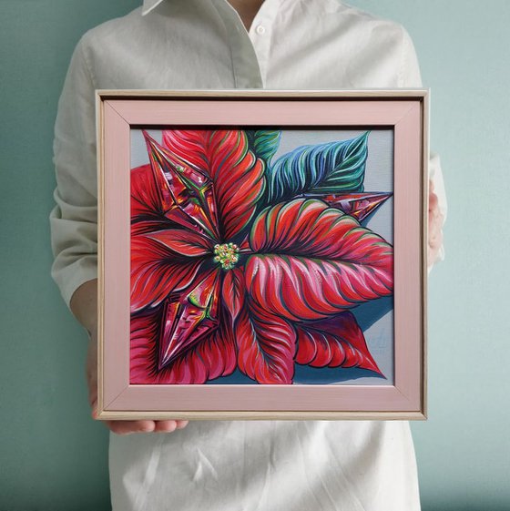 Poinsettia
