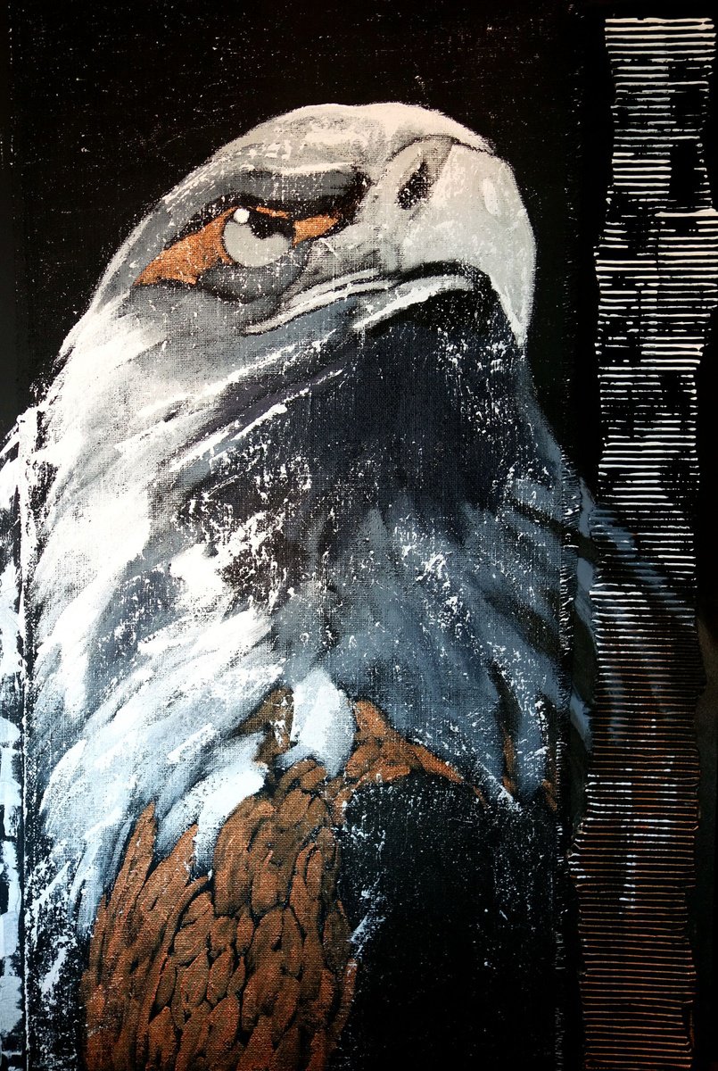The eagle no. 6416 by Anita Kaufmann