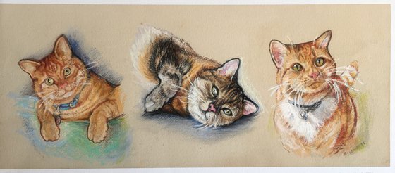 Three cats