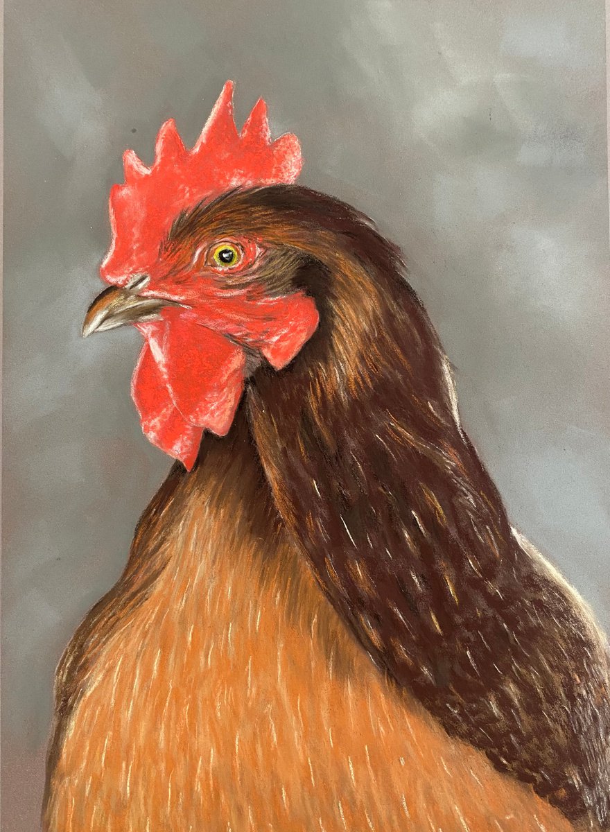 Chicken by Maxine Taylor