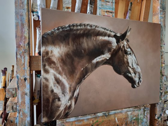 My spirited horse...