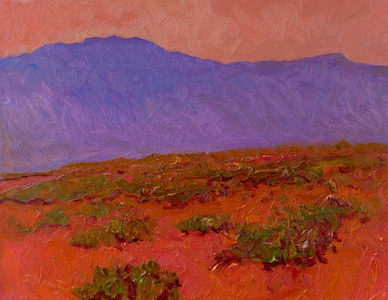 Warm Dusk of the Desert