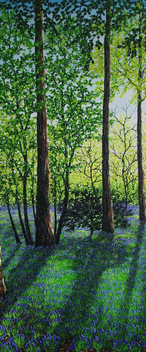 Springtime Shadows by Hazel Thomson