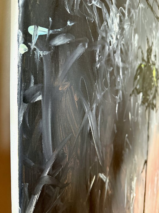 Black Sunflower (Crown of Thorns)
