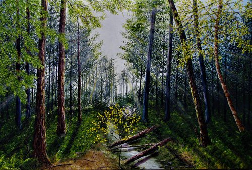 Light Refracting Through the Forest  61cm x 92cm by Hazel Thomson