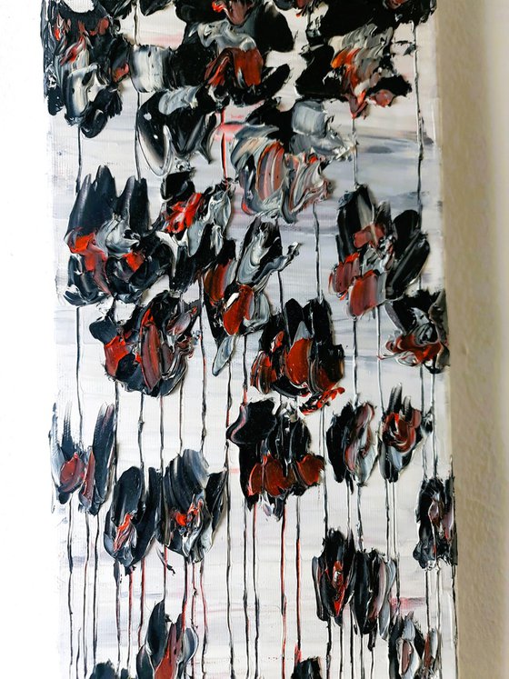 Black Poppies 2