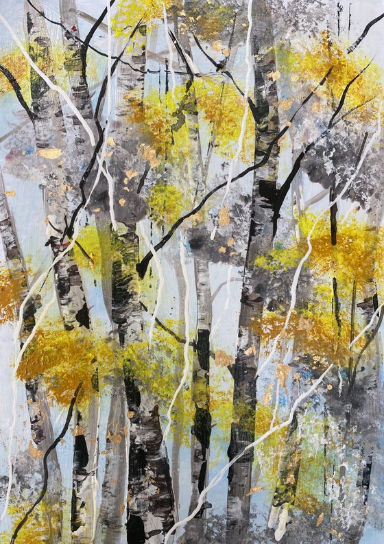 Autumn Silver Birch Trunks 1