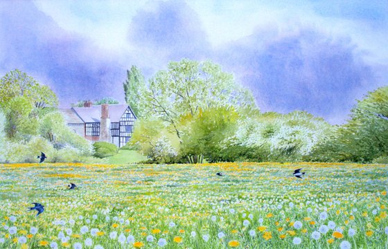 Spring meadow - Deerhurst, Gloucestershire