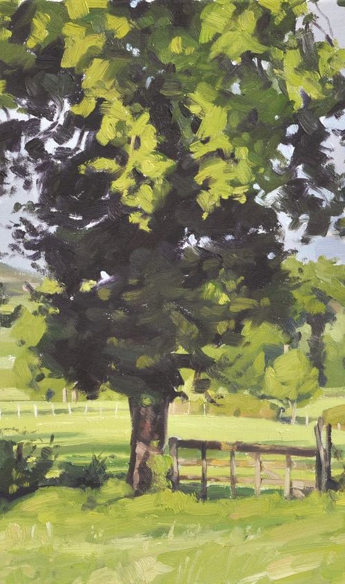 August 21, Saint Vincent, late afternoon by ANNE BAUDEQUIN