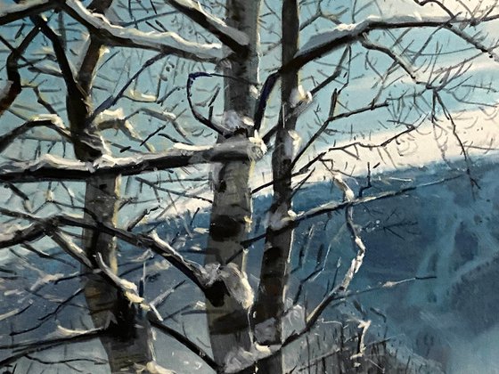 Light in the Snowy Forest