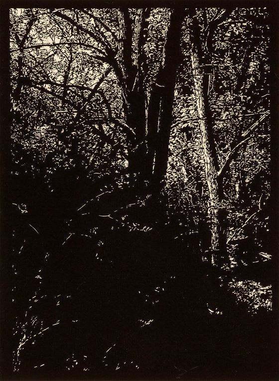 NIGHT WATCH