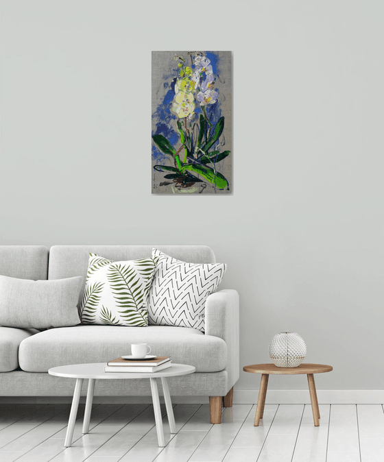 Orchids